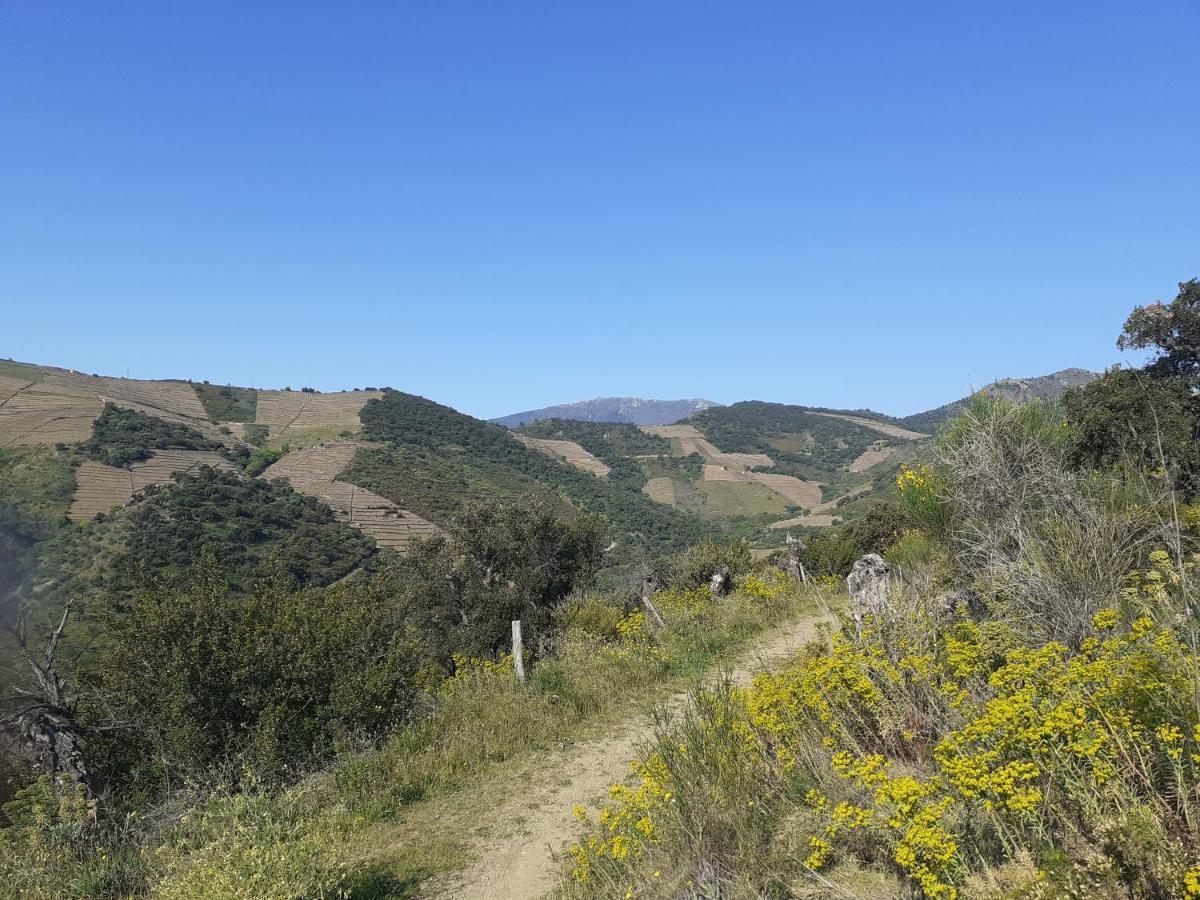 Casa Azul & Blanca Lägenhet Banyuls-sur-Mer Exteriör bild