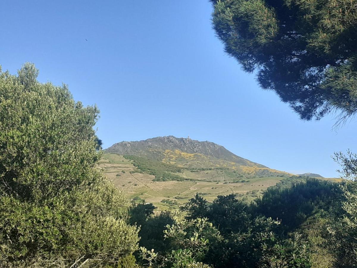 Casa Azul & Blanca Lägenhet Banyuls-sur-Mer Exteriör bild